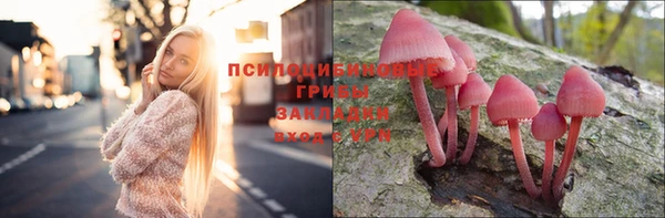 МДПВ Алексеевка