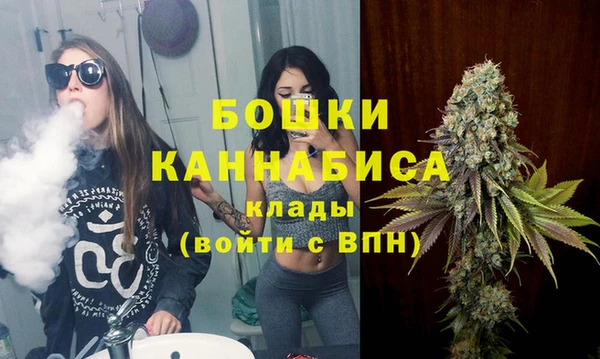 МДПВ Алексеевка