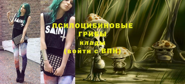 дмт Алексин