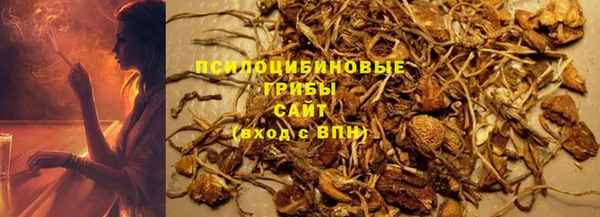 СК Алзамай