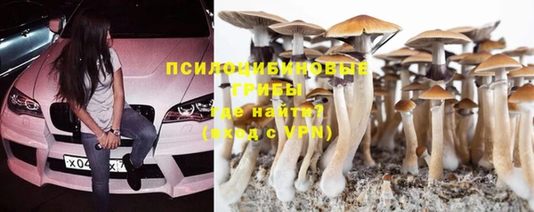 дмт Алексин