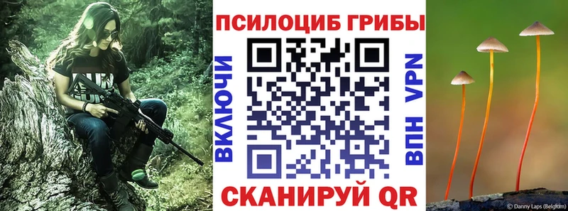 Псилоцибиновые грибы Magic Shrooms Ардатов